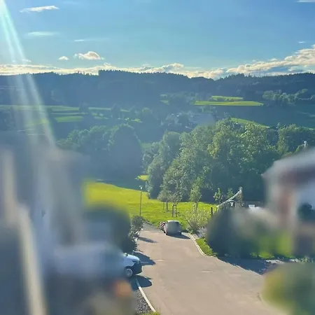 Lueftle Neue Gemuetliche Grosse Familien Im Allgaeu Naehe Bodensee Διαμέρισμα